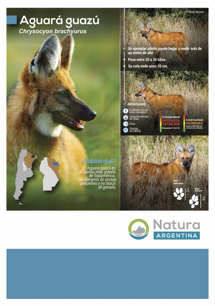 1- Infografia Aguara Guazú