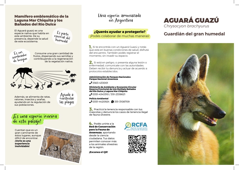 Triptico Aguara-guazu