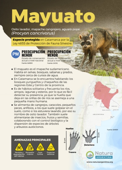 Folleto Mayuato 15x21