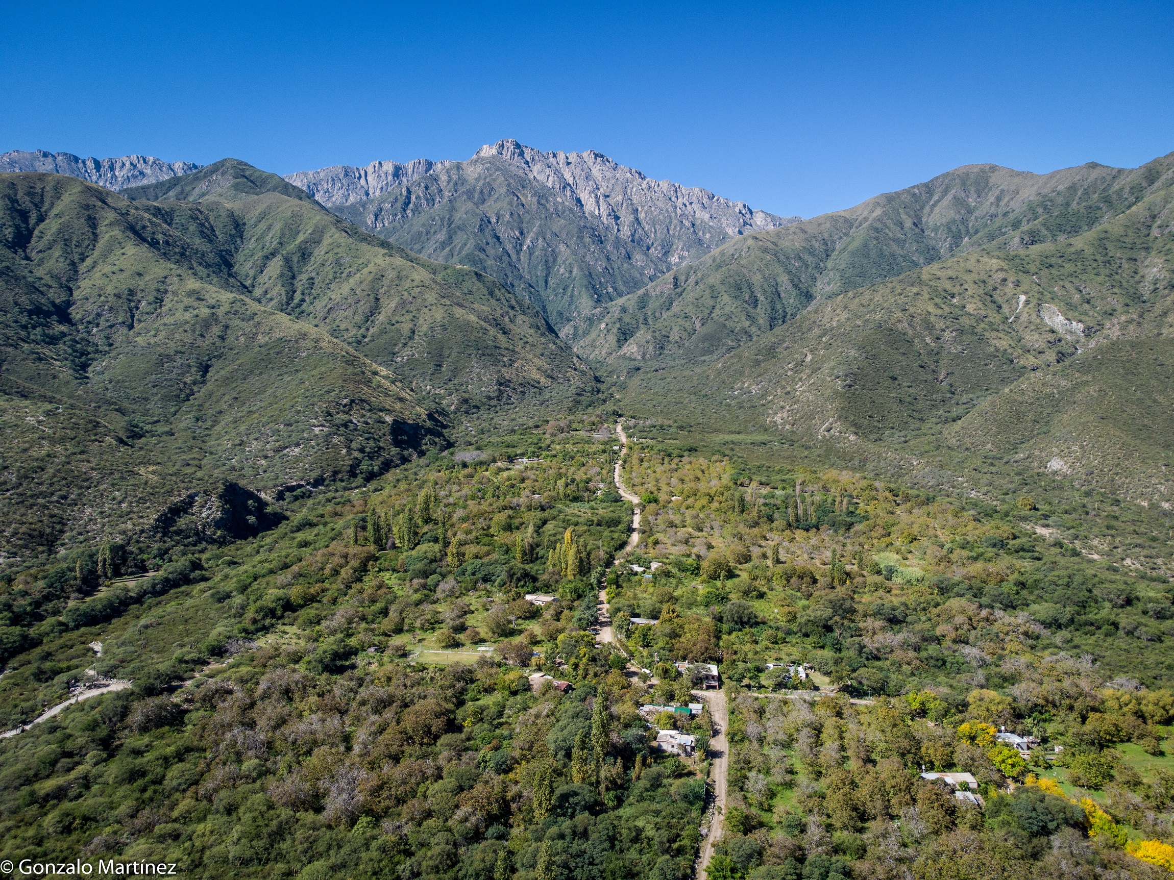DJI_0586